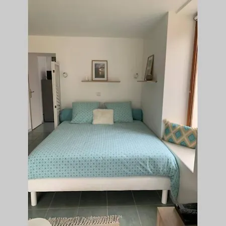 Les Hortensias, Charmante Petite Maison En Pierre *